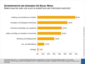 Social-Media-Delphi-Schwerpunkte-der-Ausgaben