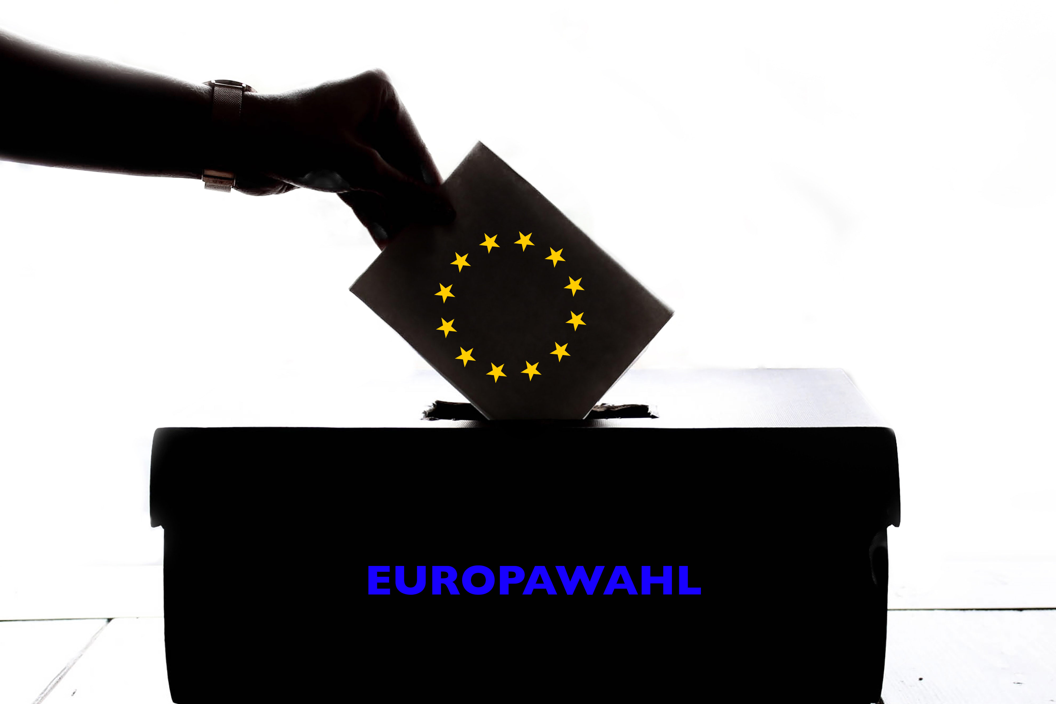 Frage des Monats: Gut informiert zur Europawahl?